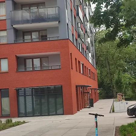 Czarna Perła
