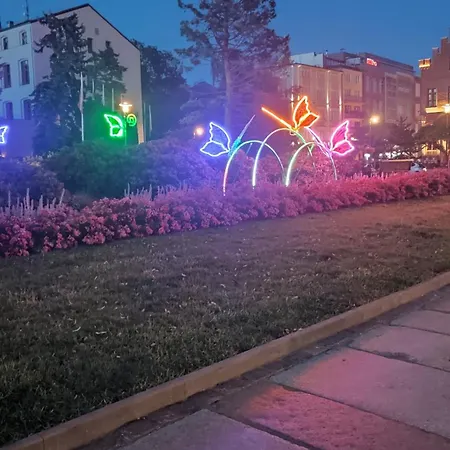 Czarna Perla Centrum Park *